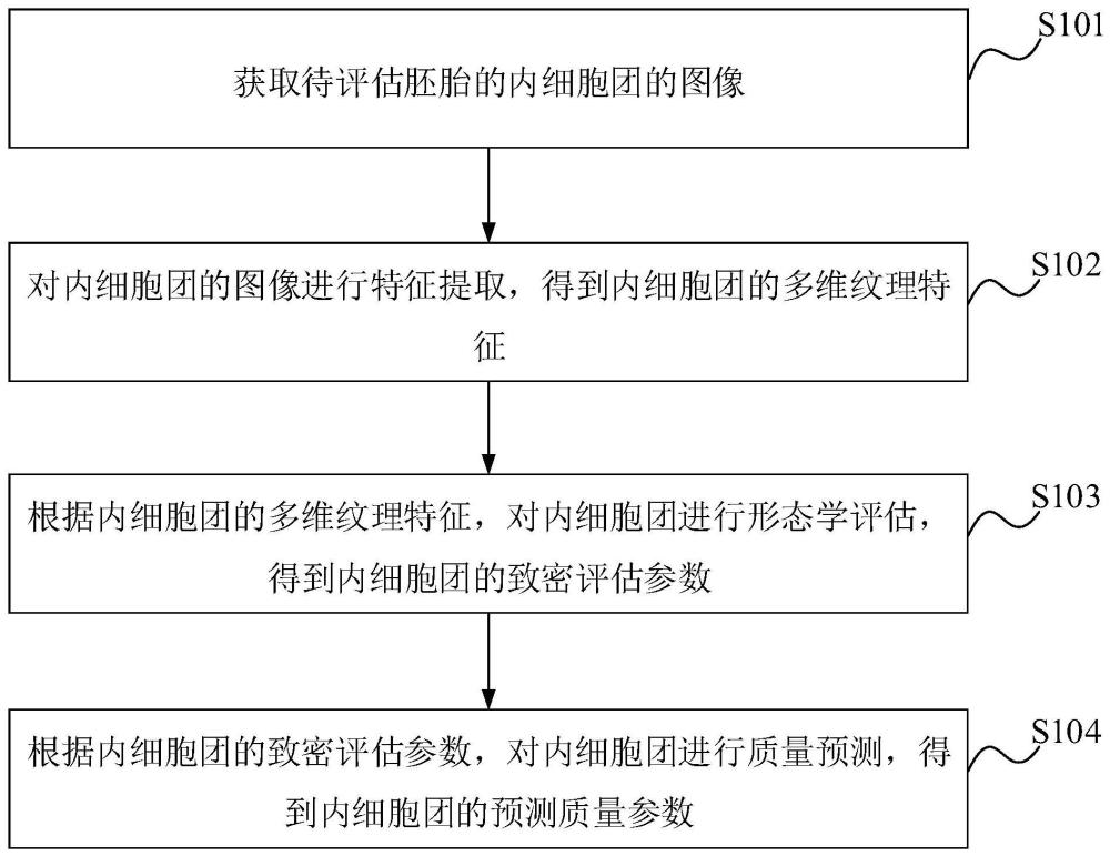 胚胎质量预测方法、装置、设备和存储介质