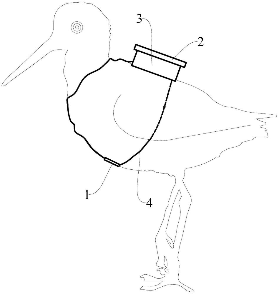 一种分体式鸟类生命体征监测装置