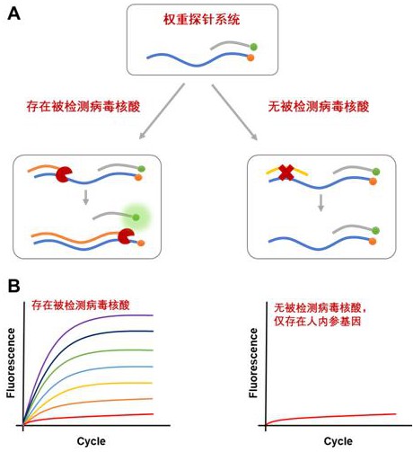 同时检测n种目标基因的荧光实时检测系统、方法、多重引物、试剂盒