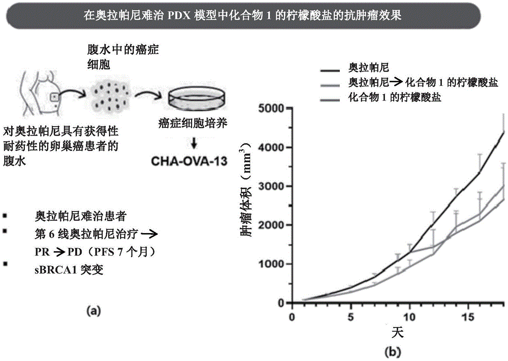 对PARP抑制剂耐药的癌症的治疗剂