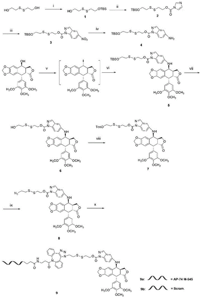 寡核苷酸修饰鬼臼毒素类衍生物及其制备方法和应用