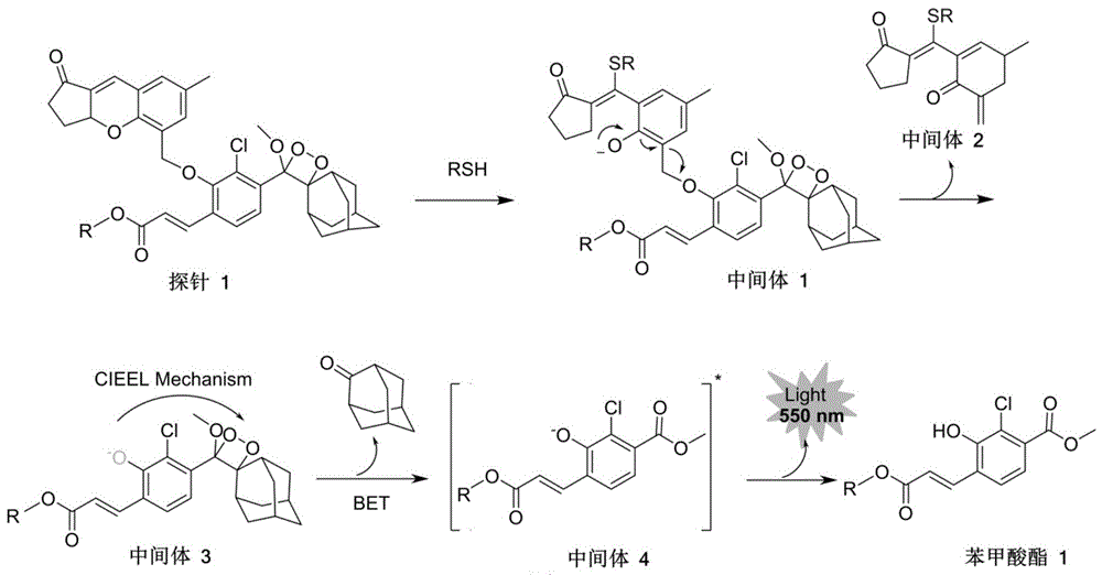 一种检测硫醇的化学发光试剂、合成方法及应用
