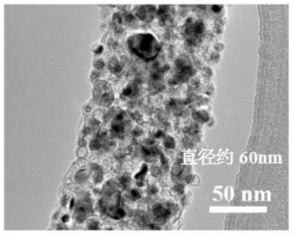 一种氮掺杂碳纳米纤维的制备方法