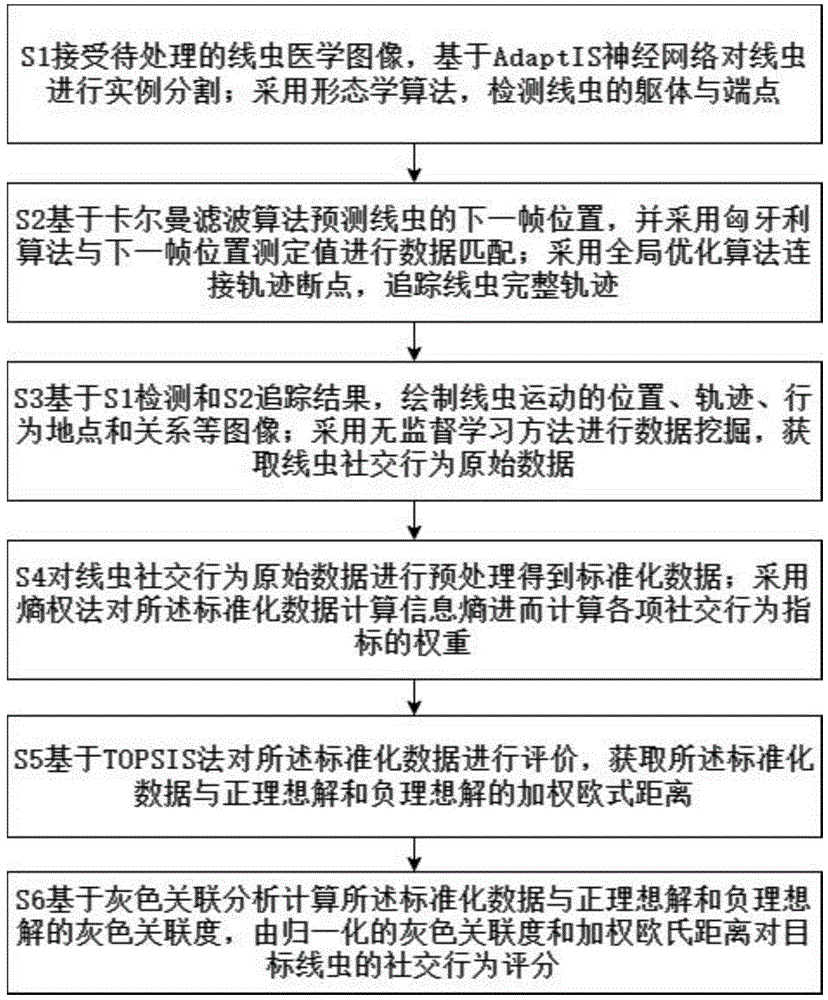 一种线虫生殖及社交行为综合评价方法及装置