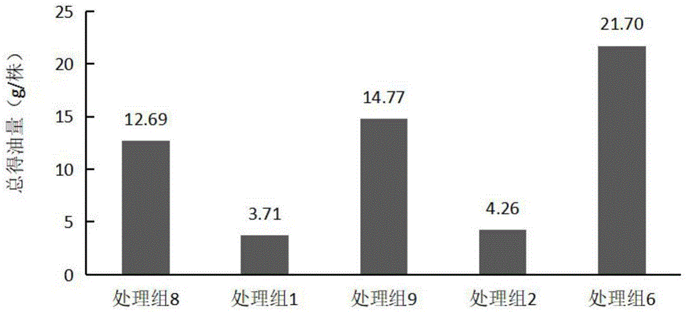 提高乐昌含笑精油量的方法