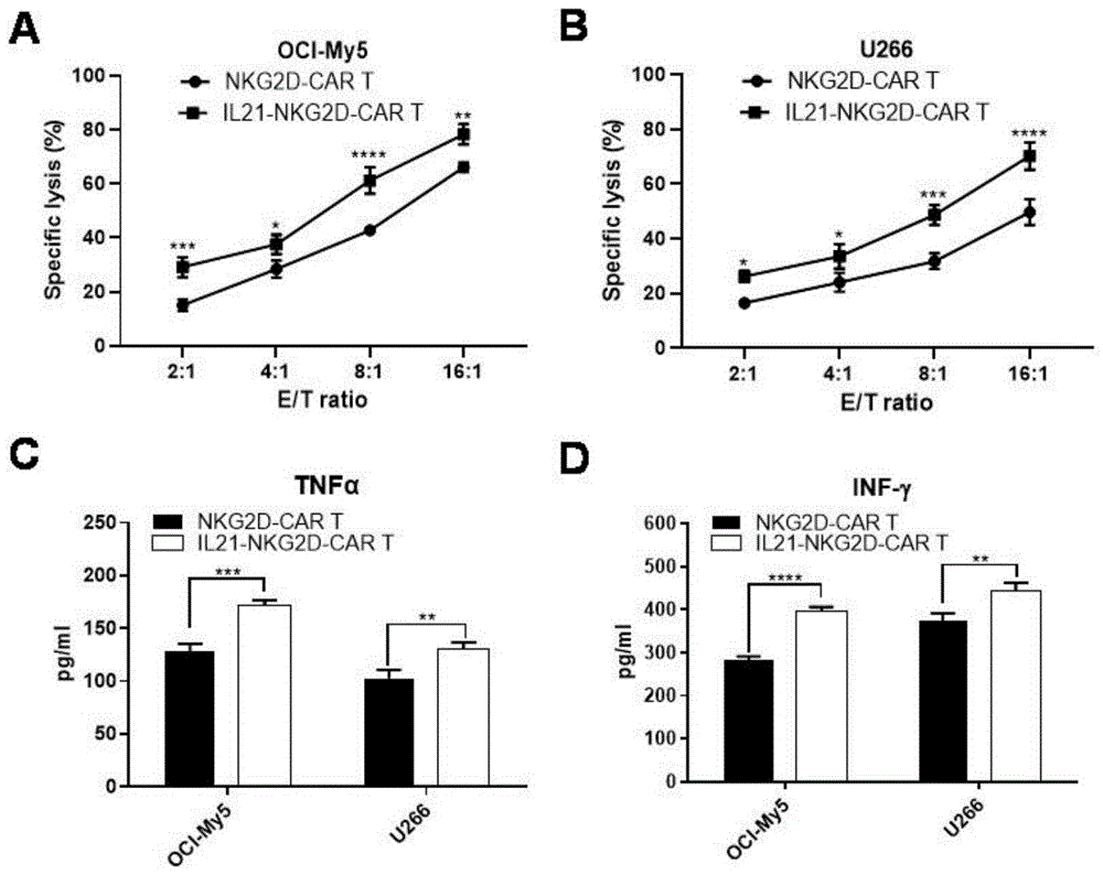 一种IL21-NKG2D CAR-T细胞及其制备方法和应用