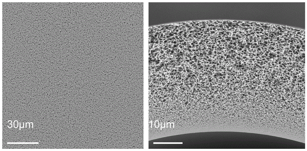 Fe-Ni/聚砜中空纤维杂化膜及其制备方法