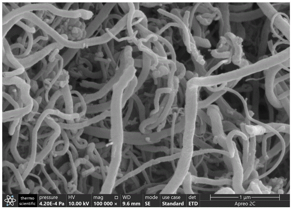 一种氮掺杂碳纳米纤维臭氧催化剂、制备方法及应用