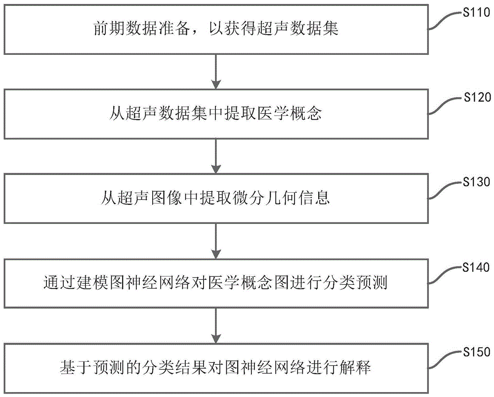 一种基于医学概念的超声标准切面分类认知解释方法