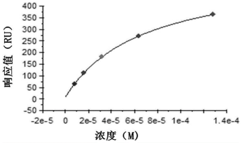 一种识别MAGE的高亲和力T细胞受体及其应用