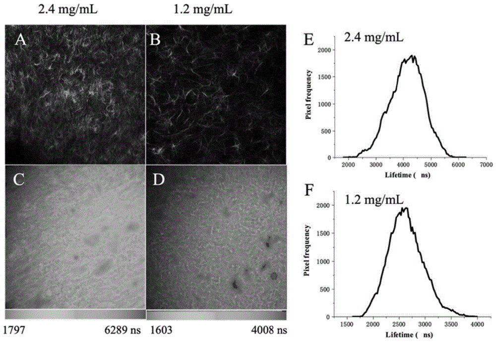 磷光材料的应用和检测生物组织纤维密度的方法