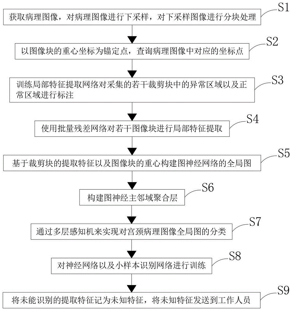 基于小样本下的病理图像识别方法、电子设备及存储介质