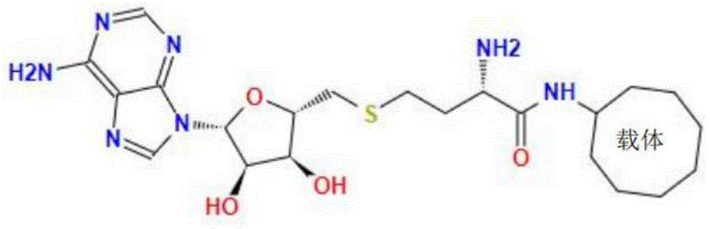 一种S腺苷同型半胱氨酸偶联物及单克隆抗体制备及应用