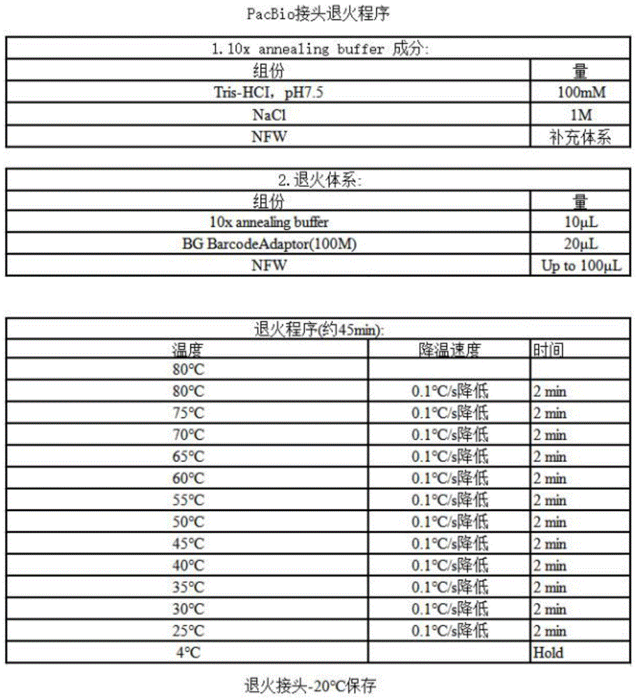 一种RHD基因引物、引物混合体系、引物混合体系扩增方法、扩增产物质检方法、测序文库构建方法及测序方法