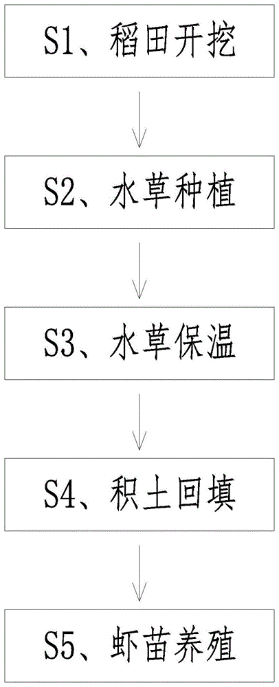 一种稻虾养殖田水草栽种方法