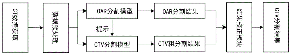 一种基于危及器官提示的宫颈癌放疗靶区自动勾画方法