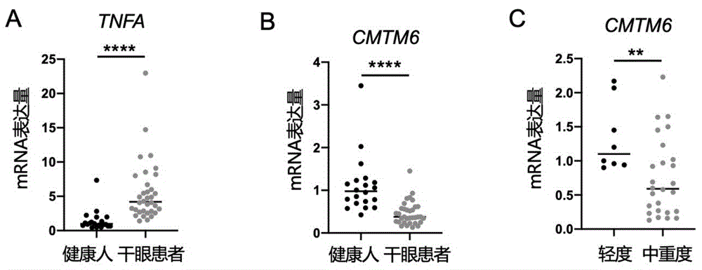 CMTM6作为干眼的生物标志物及其应用