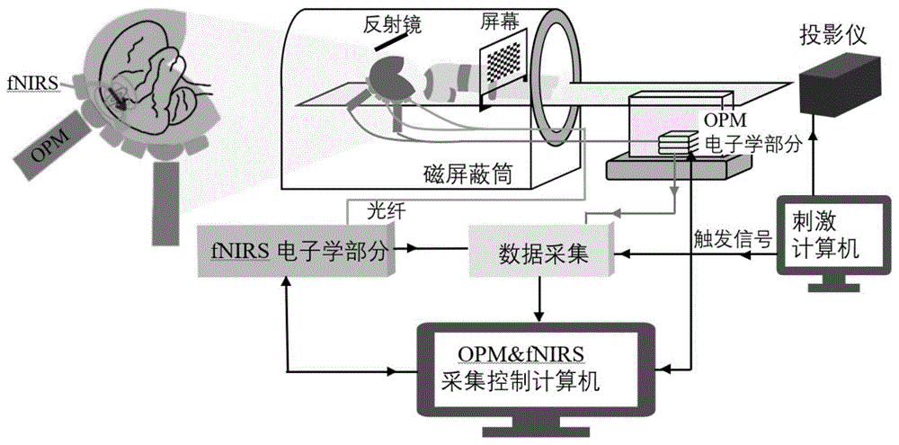 基于脑磁图、近红外脑成像的多模态同步脑成像方法