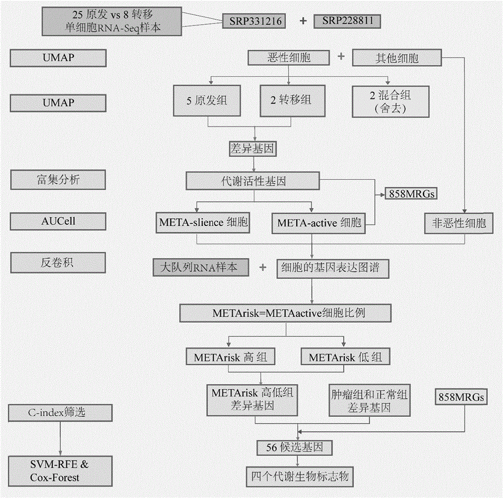 一种基于单细胞分析建立的用于评估头颈鳞癌预后的评分系统