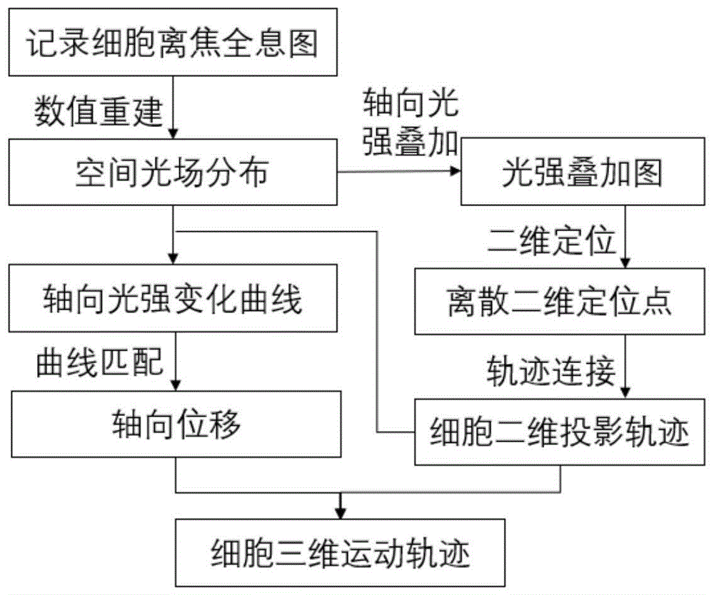 一种细胞三维运动的定位与追踪方法、装置及存储介质