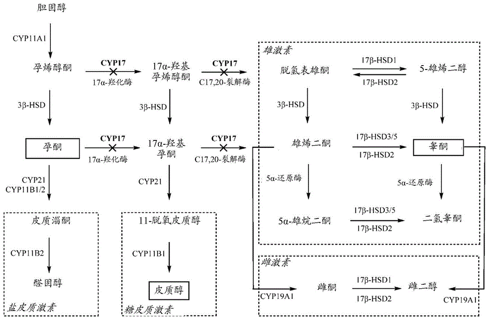 阿比特龙前药