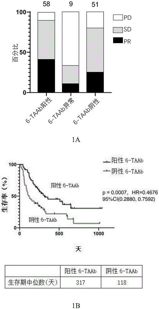 用于预测肿瘤免疫治疗效果的生物标志物及其应用