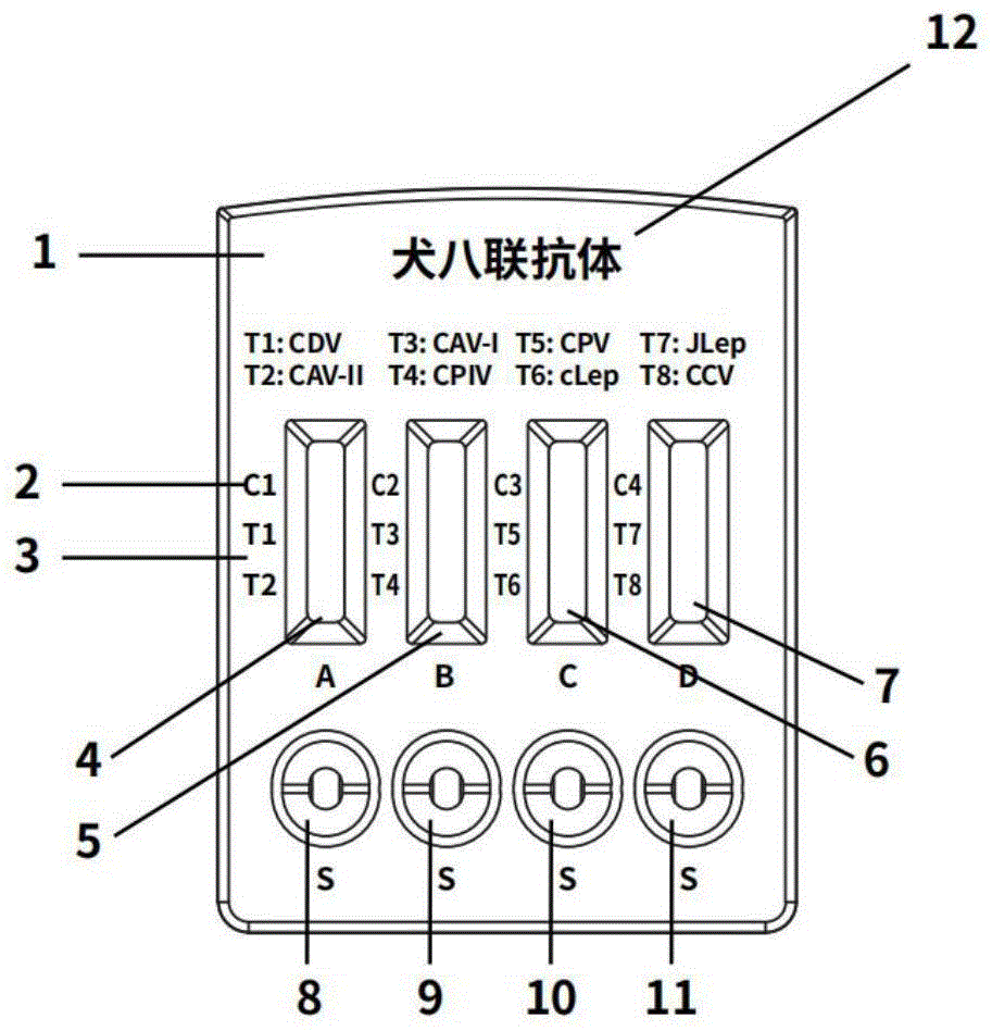 一种犬八联抗体快速检测卡及试剂盒