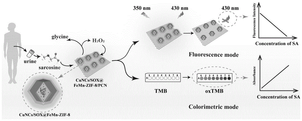 一种荧光/比色双模式酶级联传感器及其制备方法和应用