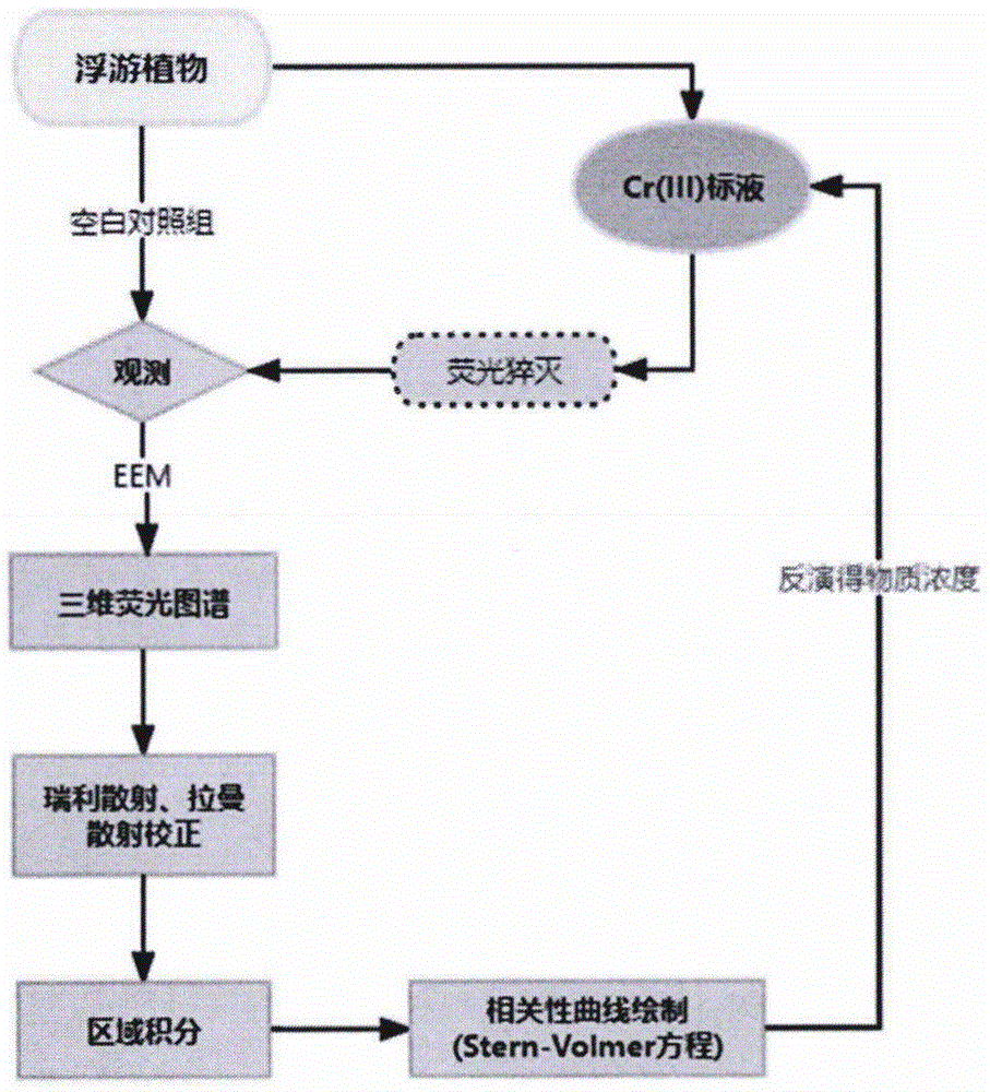 一种基于浮游植物叶绿素荧光特性定量反演并实现原位监测Cr3+浓度的方法