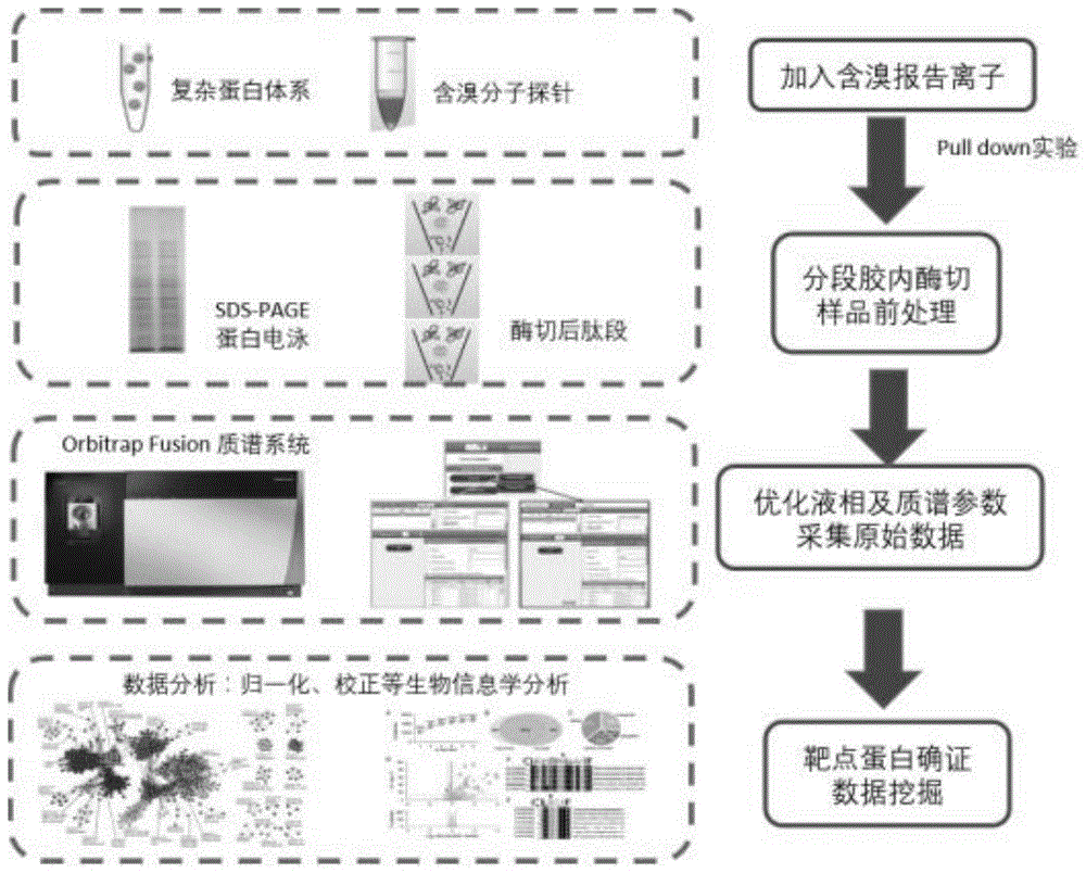 一种利用生物质谱技术筛选低丰度蛋白的方法