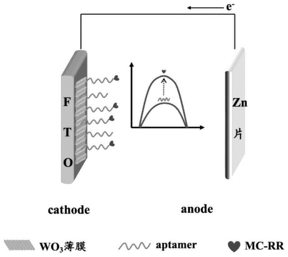 一种锌-空电池辅助增强的自供能电化学传感器及其制备方法和应用