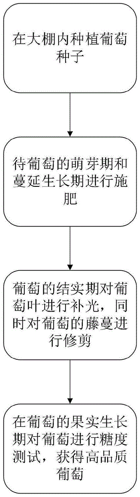 一种提高葡萄品质的种植方法