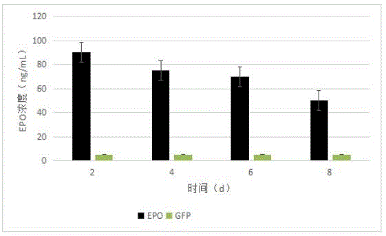 一种减少破坏提高纯度的自体脂肪移植方法