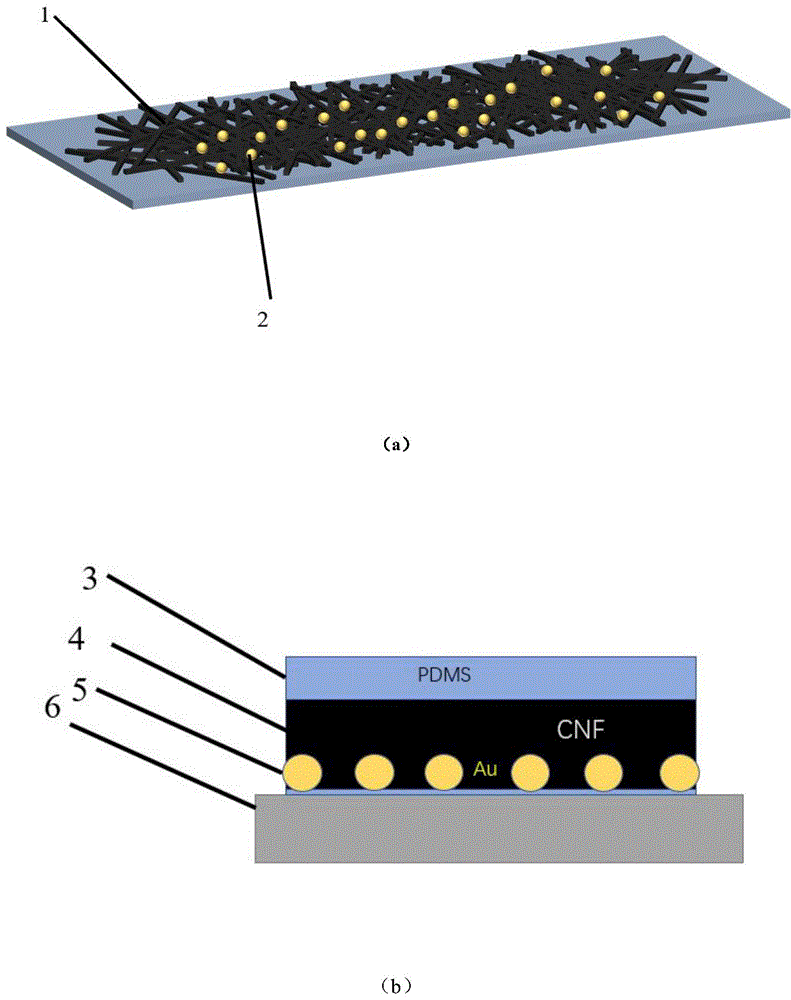 一种碳纳米纤维基光致超声换能器的制备方法