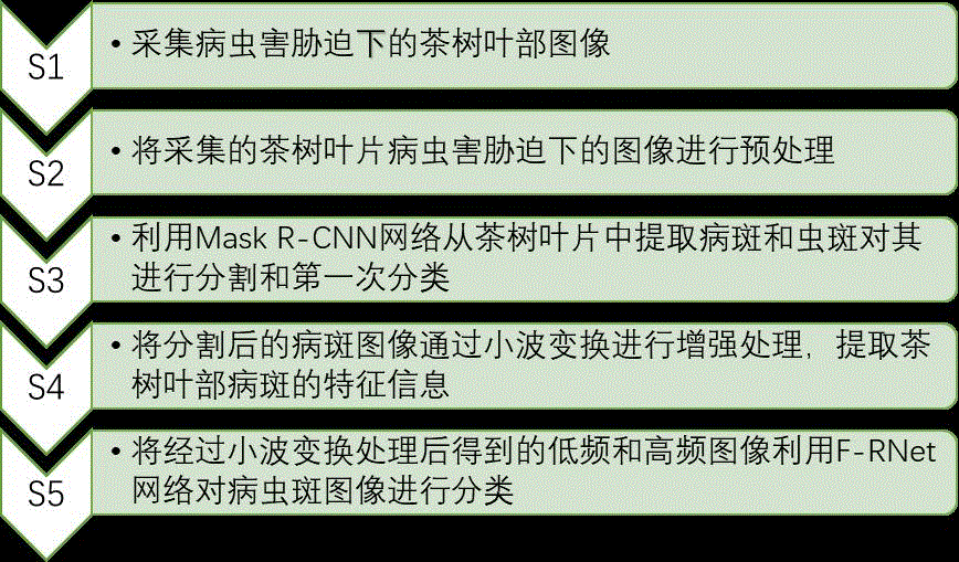 一种基于Mask R-CNN、小波变换和F-RNet检测和鉴别茶树病虫害的方法