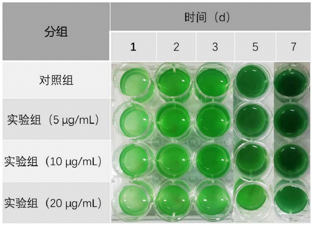 一种利用光催化方法治理水华现象的材料、其制备方法及应用