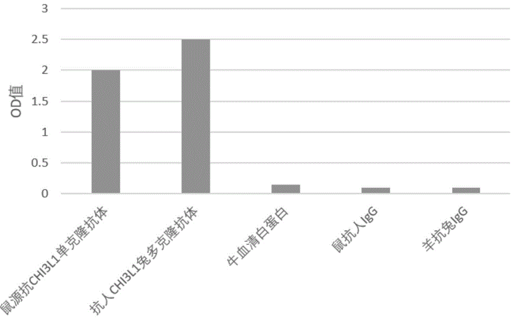 一种人壳多糖酶3样蛋白1的抗原模拟表位肽及制备方法