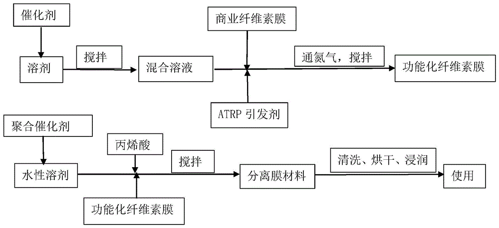 一种活性自由基聚合的改性纤维素乙醇溶液分离膜及其制备方法与应用