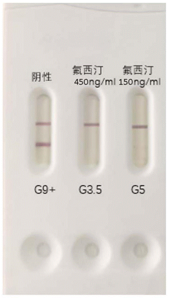 抗氟西汀抗体或其抗原结合片段及其应用
