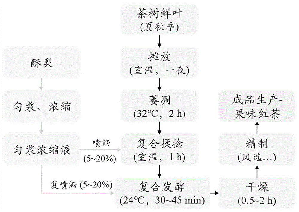 一种茶叶发酵制备果味红茶的方法