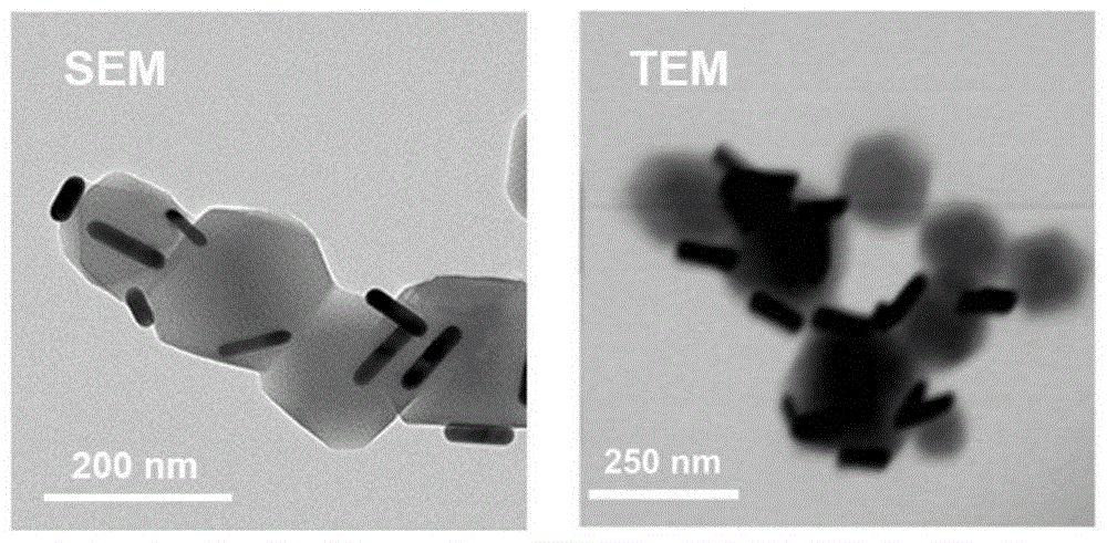 温度响应型双光子MOF基荧光探针及其制备方法与应用