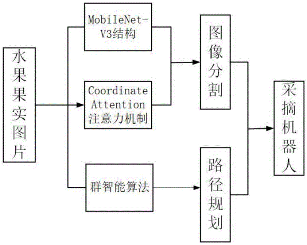 一种深度学习和群智能算法的水果采摘优化模型的方法