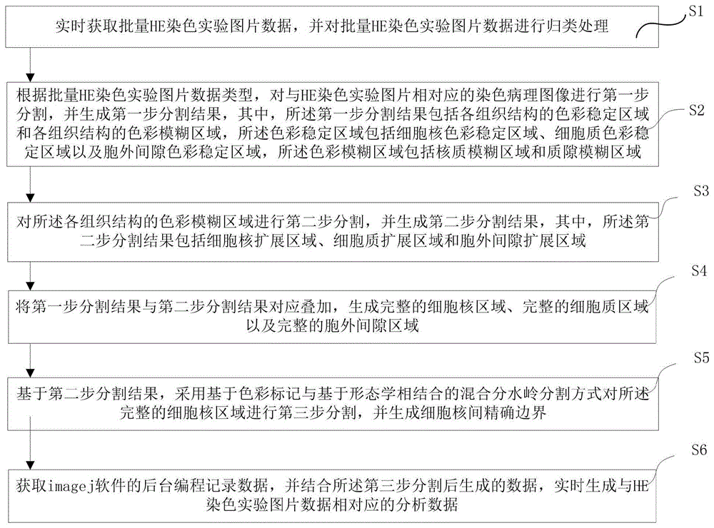 一种适用于HE染色实验的图片批量分析方法及装置