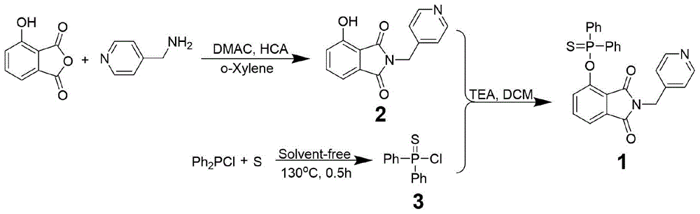 一种基于3-羟基邻苯二甲酰亚胺的汞离子荧光探针及其制备和应用