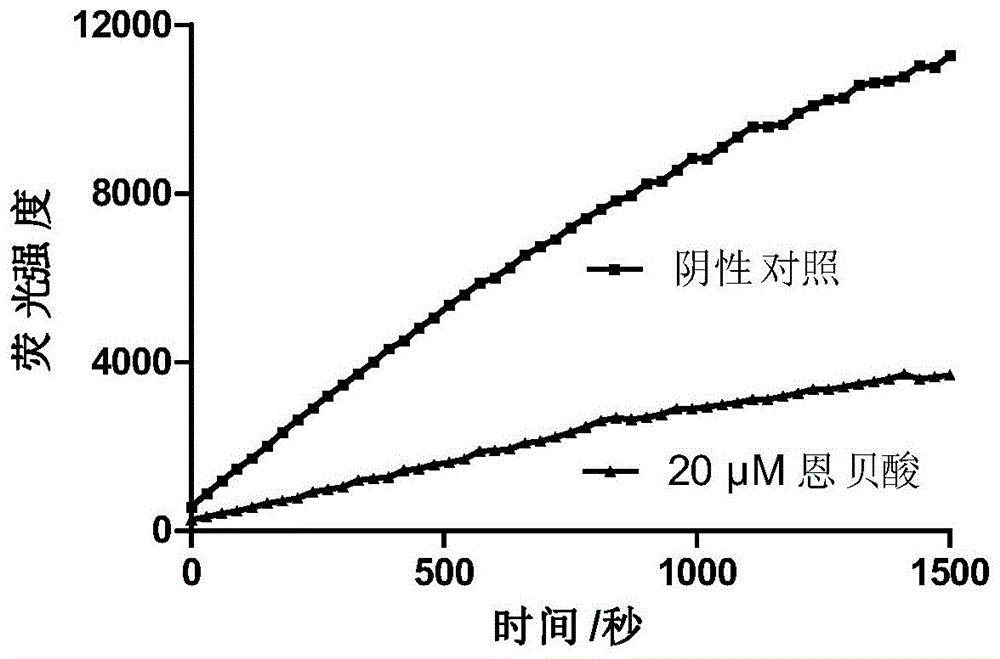 恩贝酸在制备抗圣路易斯脑炎病毒感染药物中的应用