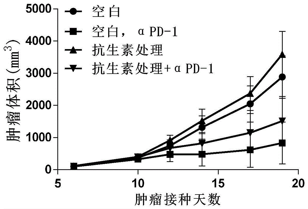 抗肿瘤组合物