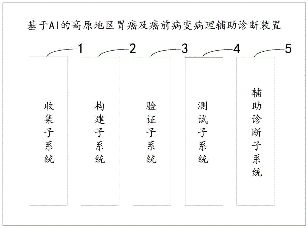 基于AI的高原地区胃癌及癌前病变病理辅助诊断装置