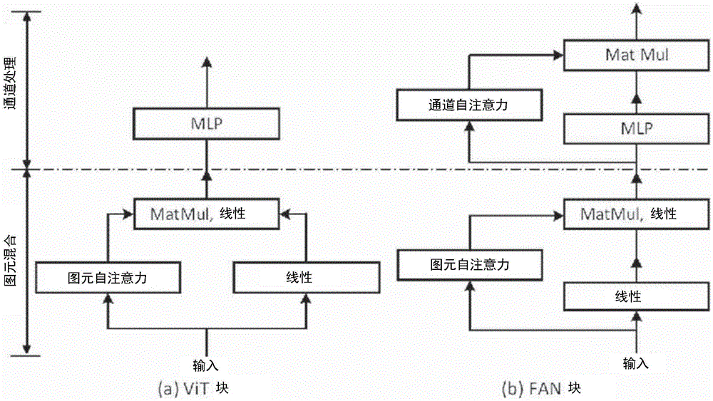 鲁棒的视觉转换器