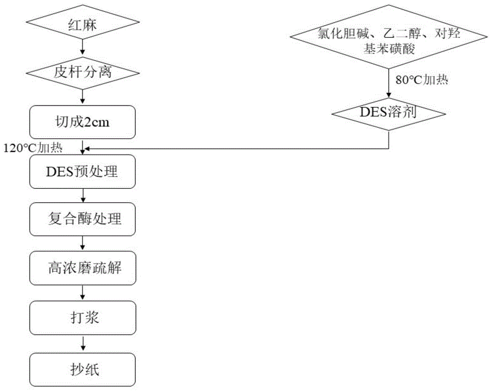 一种三元低共熔溶剂辅助生物酶处理红麻制备生物机械浆的方法