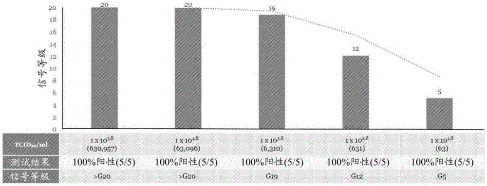 用于检测SARS-COV-2的测定